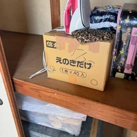 画像247