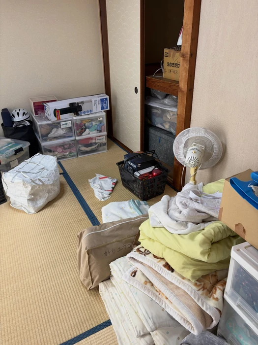 画像254